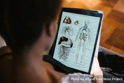 Back view of a person using tablet computer to view human anatomy in medical context 0VJ1G0