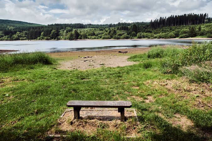 Bench overlooking a forest and lake