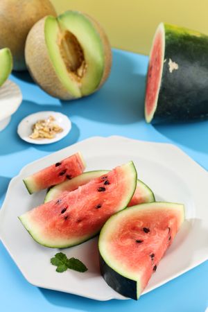 Sliced Melon and Watermelon for Summer Snack