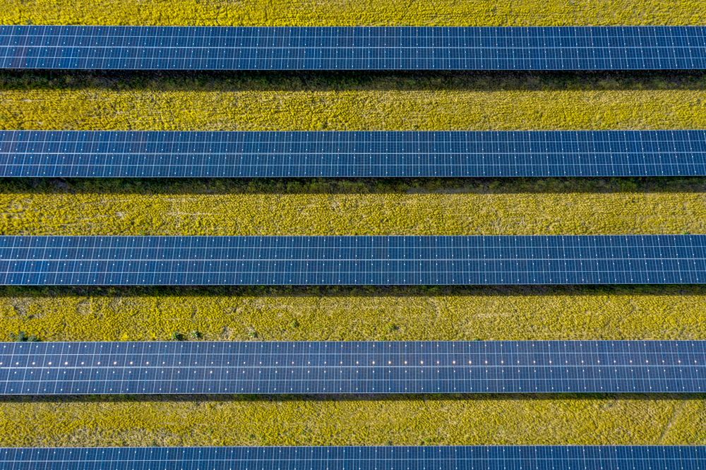 Solar panels in bright light, drone aerial view