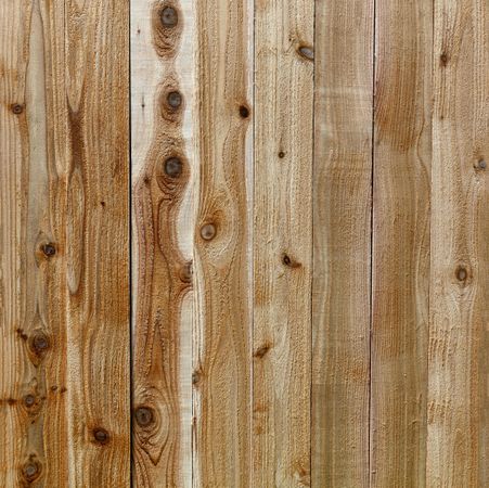 Cedar wooden background