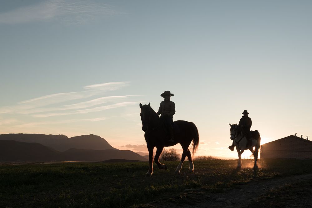 People riding horses