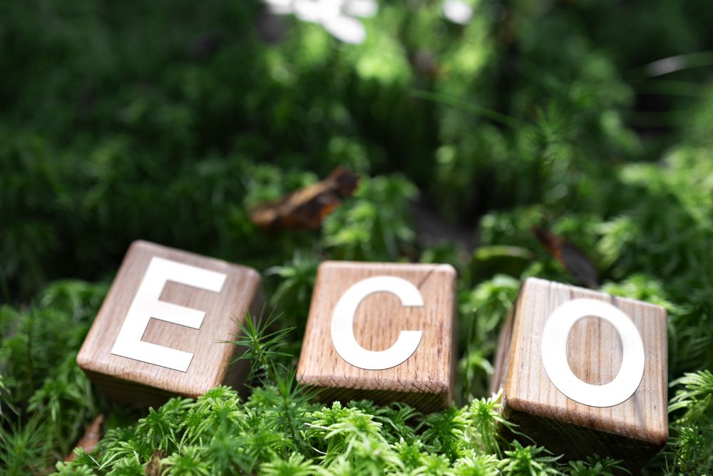 Eco-Friendly Concept: Sustainability in Focus