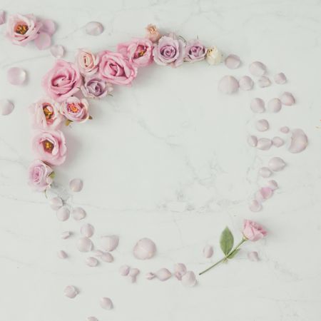 Wreath of rose flowers and petals on light background
