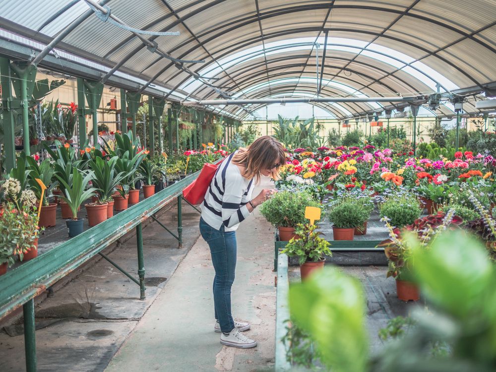 Female choosing plants for garden on flower market