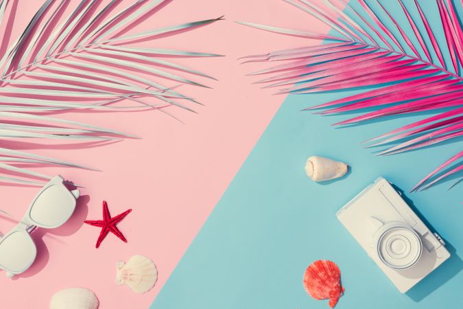 Tropical  painted leaves and summer items on pink and blue background