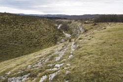 Green hill meadow valley