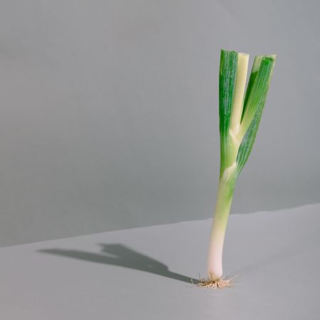 Spring onion on kitchen table