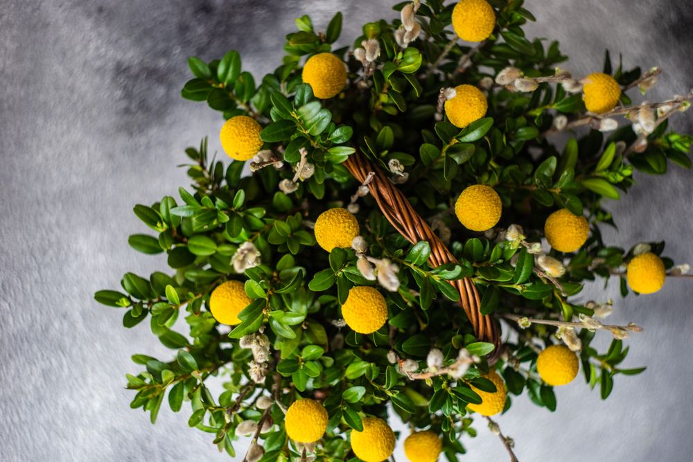 Top view of spring flowers in decorative Easter basket