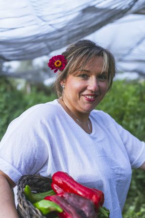 Gardener in apron harvesting vegetables from bushes in basket