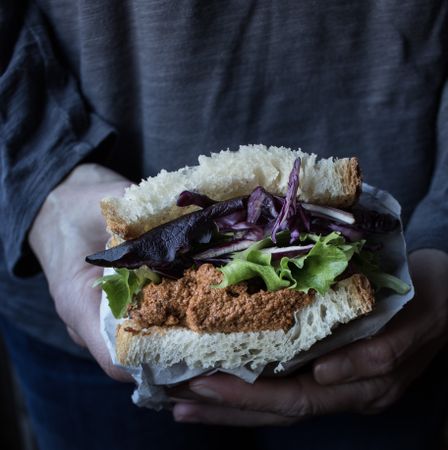 Hands with sandwich with vegetables and pate on tray