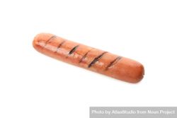 Single sausage with grill marks 5zq9o0