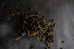 Top view of fresh blackcurrant berries overflowing from cup