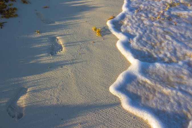 Footsteps in the sand near shore