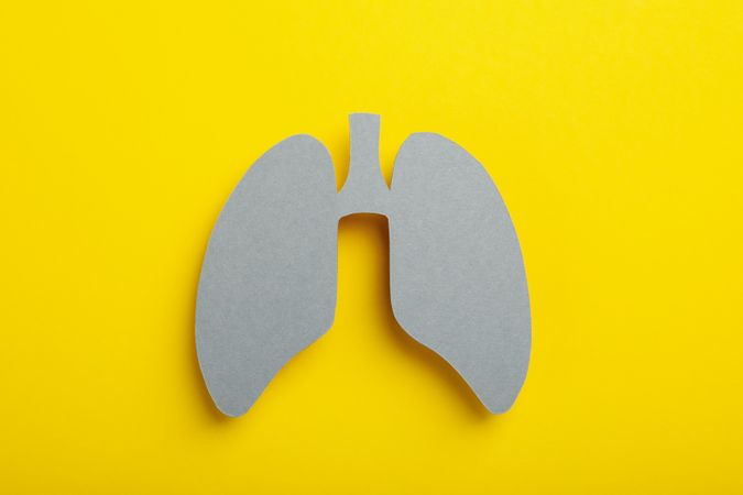 Grey paper lungs on yellow background