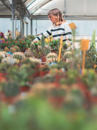 Female customer choosing flowers in greenhouse