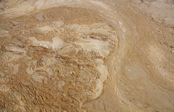 Abstract dirty water or soil background