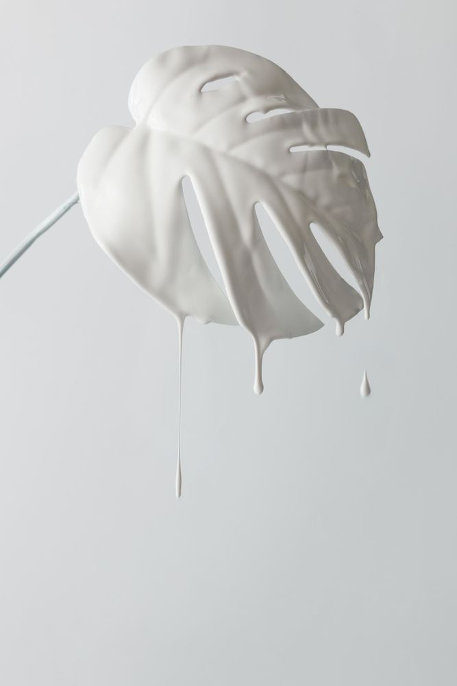 Painted monstera tropical leaf with dripping paint