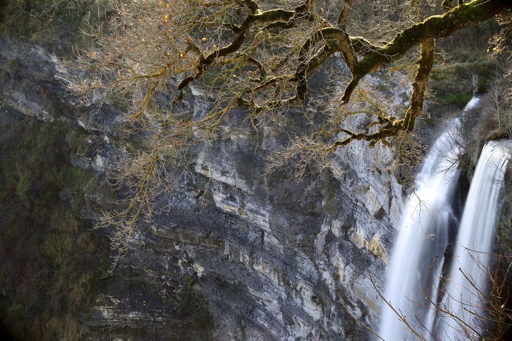 Autumn tree and waterfall