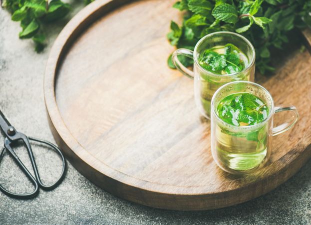 Mint tea with fresh mint leaves on wooden tray, with scissors, square crop with copy space