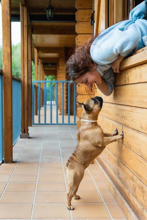 Woman looking at cute dog on terrace of house