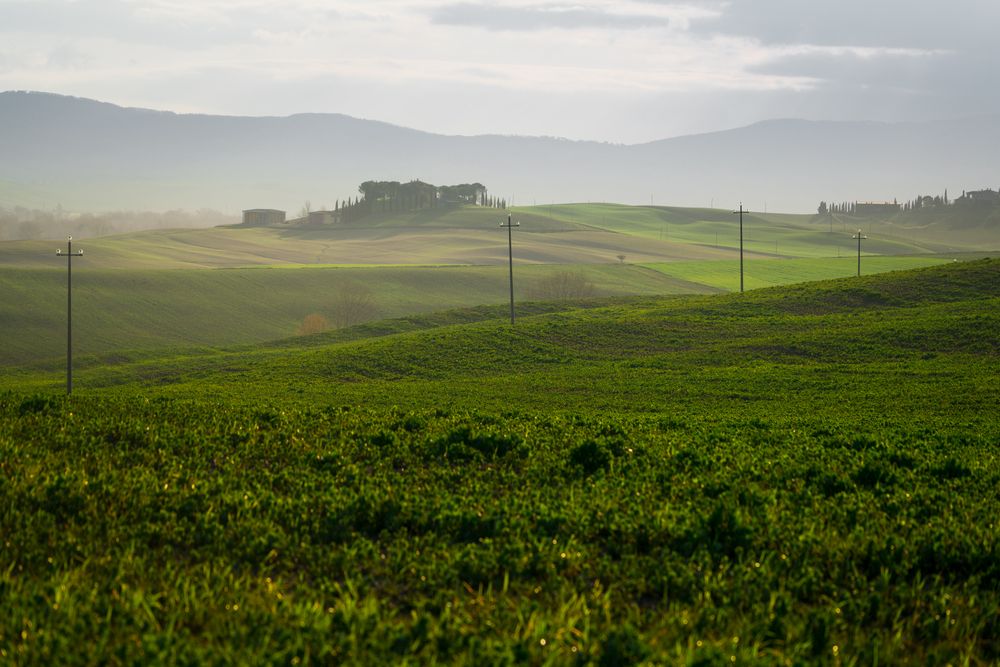 Amazing green valley with mountains