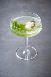 Refreshing martini cocktail with fresh oysters