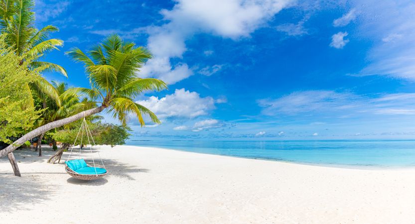 Lounge chair hanging on a palm tree at a tropical beach