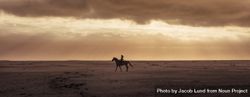Wide angle shot in the evening of woman horse riding on the sea shore 4ApmW5