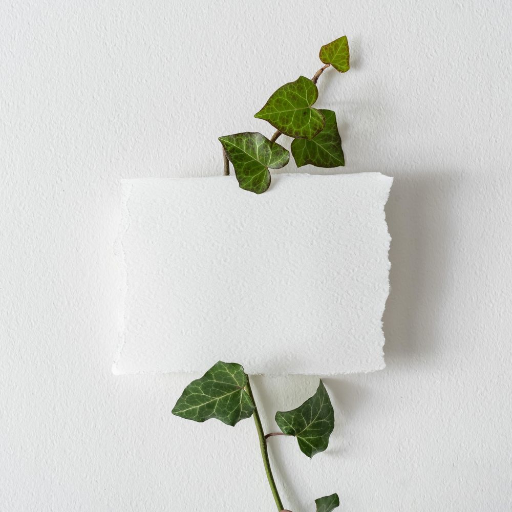 Green vine with light  paper note