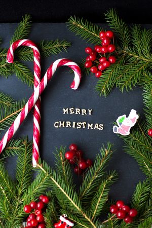 Candy with branches of trees, and inscription Merry Christmas