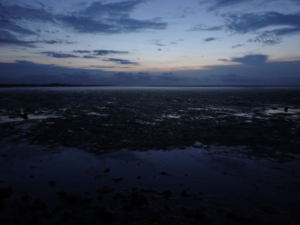 The Fossé of Loix between two buoys at twilight and low tide