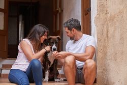 Loving couple and dog sitting on porch