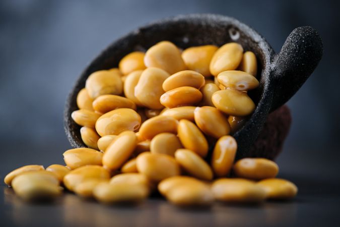 Yellow Lupin Beans in Bowl