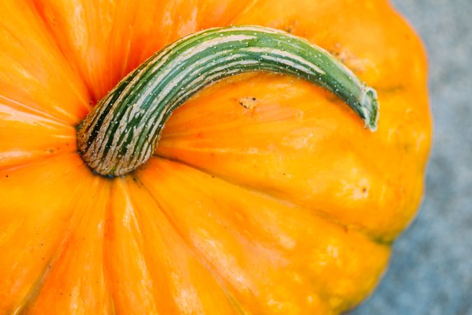 Fresh ripe orange pumpkin on gray surface
