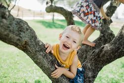Playful children climbing tree on sunny green meadow