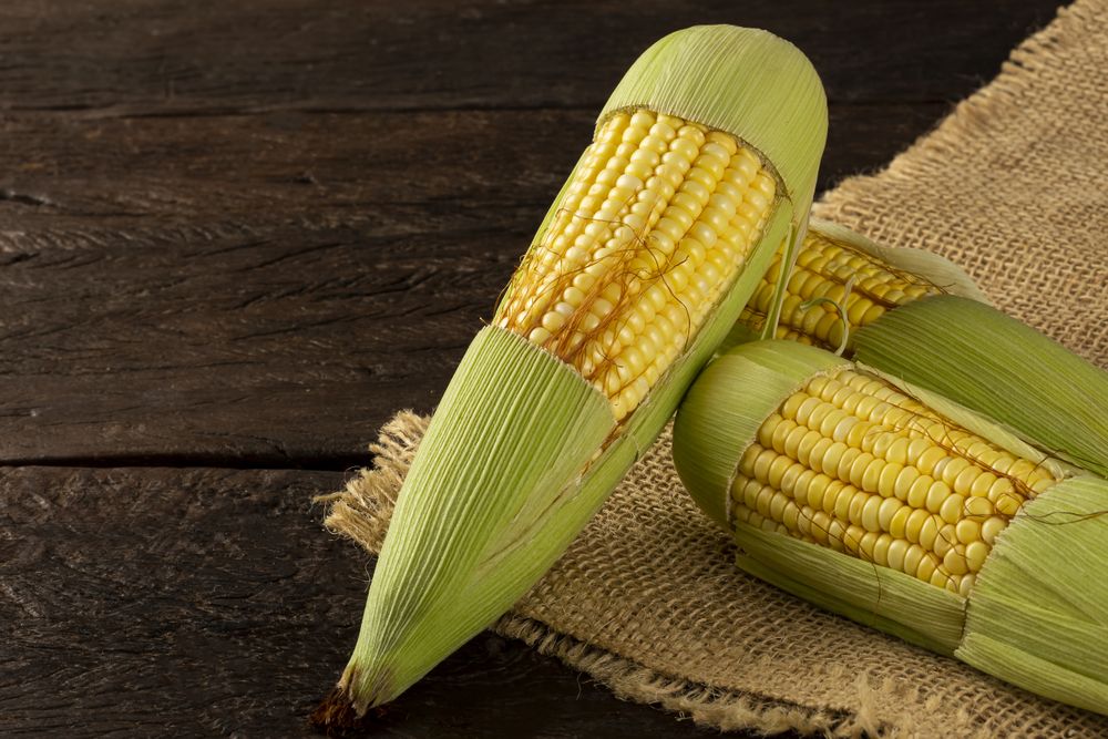 Green corn on the wooden table.