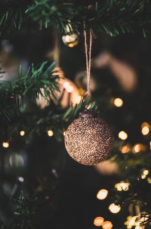 Close-up of gold glitter decorative ball hanging on tree