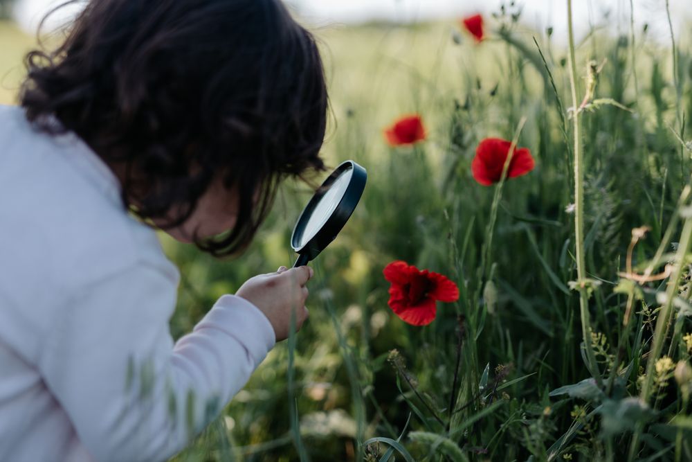 Little girl looking at flower with magnifying glass