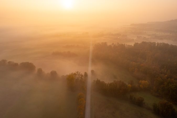 Drone shot with an autumn forest and a road on a foggy morning at golden hour
