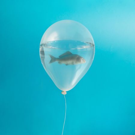 Fish in clear balloon with water