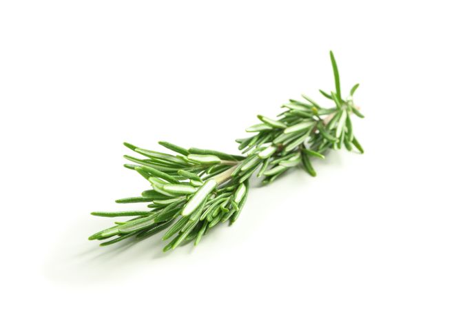 Fresh green rosemary isolated on neutral background