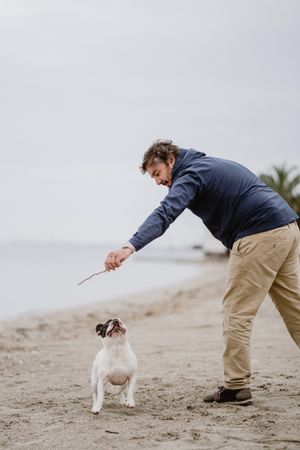 Owner playing with dog on beach