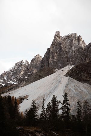 Big mountains near pine forest on cloudy weather