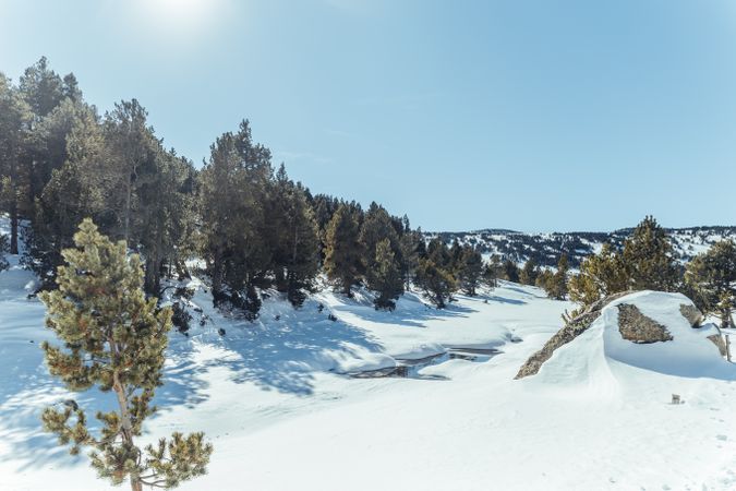 Picturesque view of mountains with forest in snow