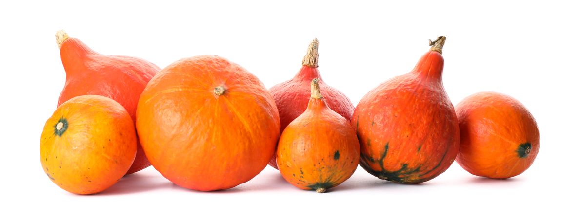Group of fresh pumpkins isolated on plain background
