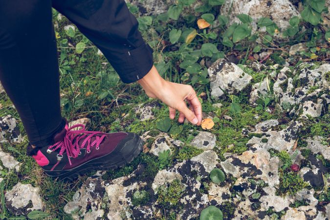 Crop faceless traveler taking fallen leaf from stones