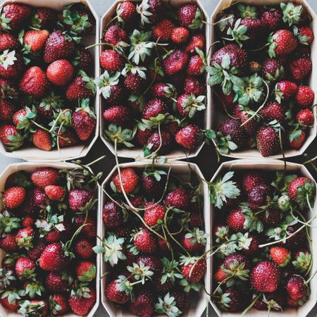 Strawberries in eco-friendly plastic-free boxes, square crop