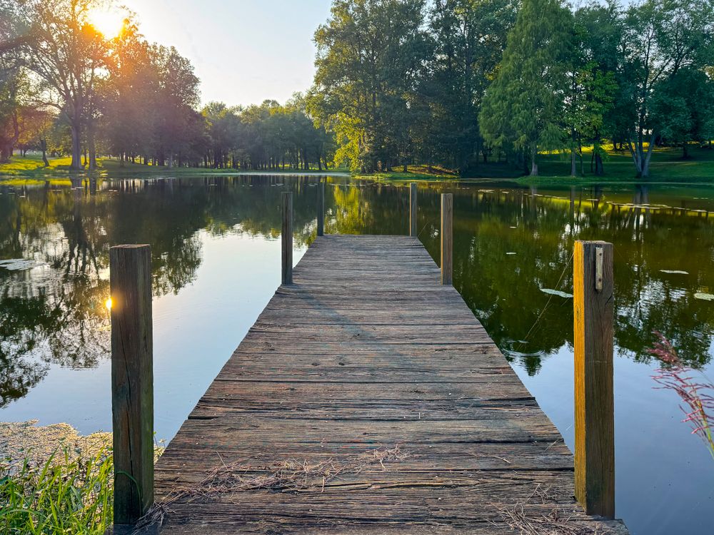 Dock view over pond at dusk