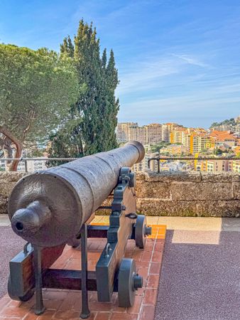 Cannons of Place du palais